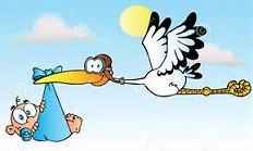 naissance cigogne