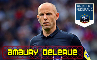 Delerue Amaury